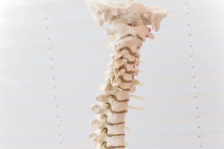 Einrenken Dorn Therapie
Heilpraktikerin
Mareike Janßen-Gotowka
in Bockhorn